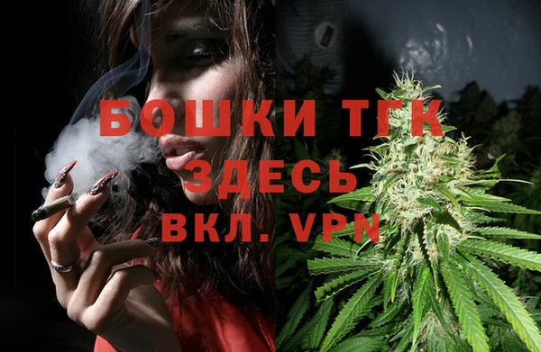 твердый Осинники