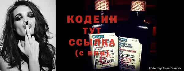 твердый Осинники