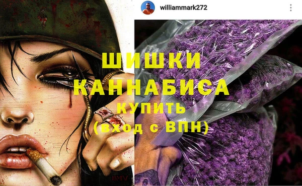 твердый Осинники