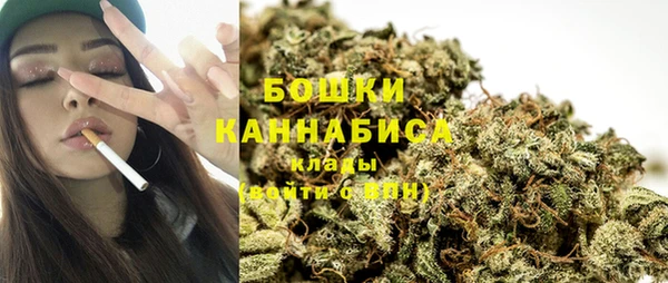 твердый Осинники