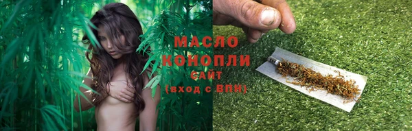 мдпв Пестово