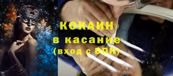твердый Осинники