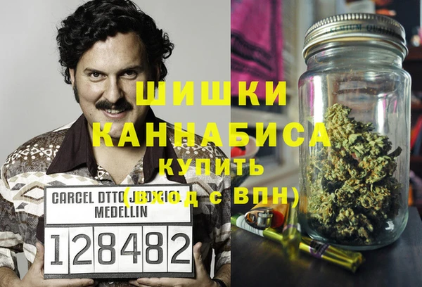 мдпв Пестово